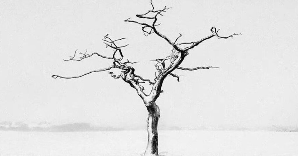Why Philosophy Must Reconsider Human Relations to Non-Living Objects