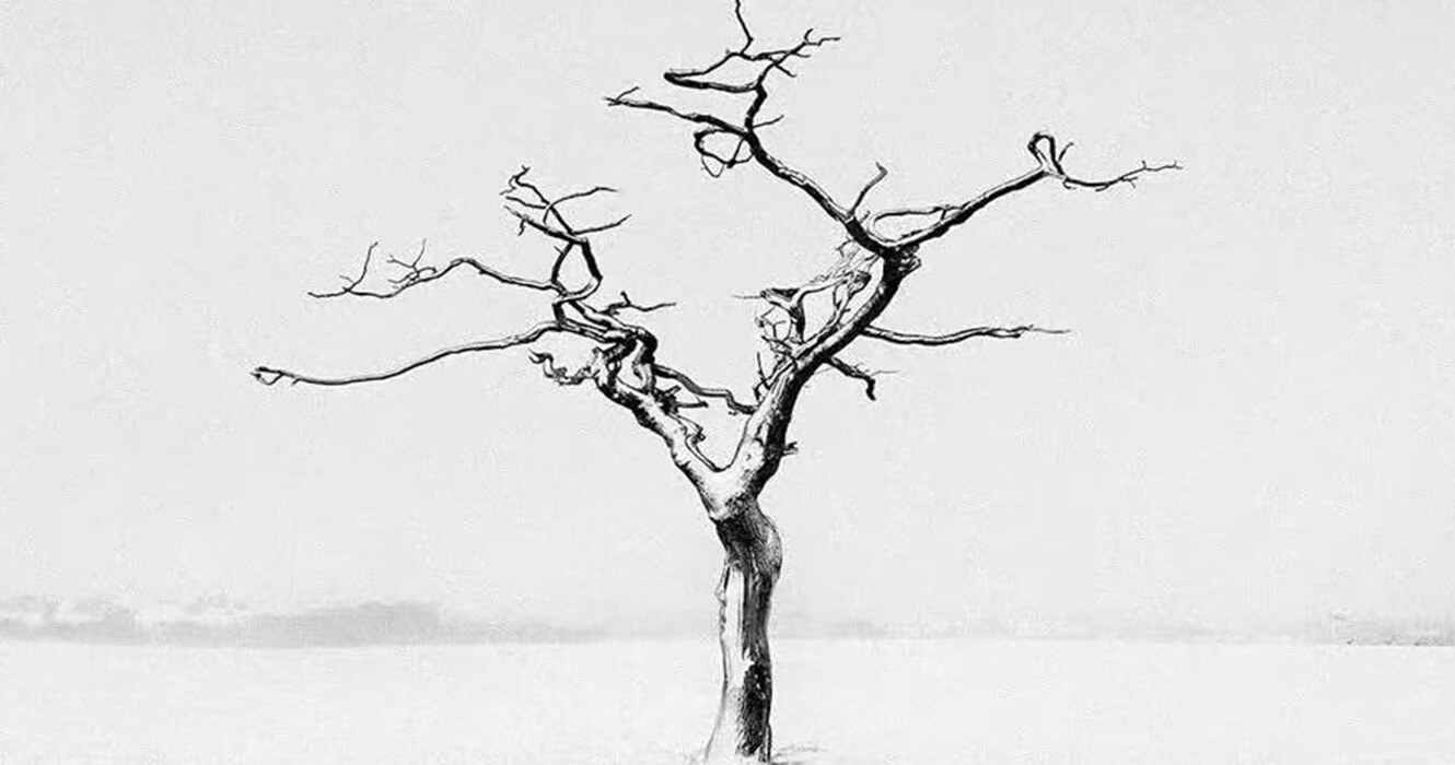 Why Philosophy Must Reconsider Human Relations to Non-Living Objects